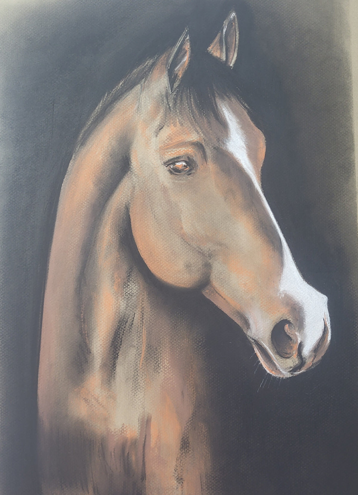 Caballo. Original disponible · pieza única.