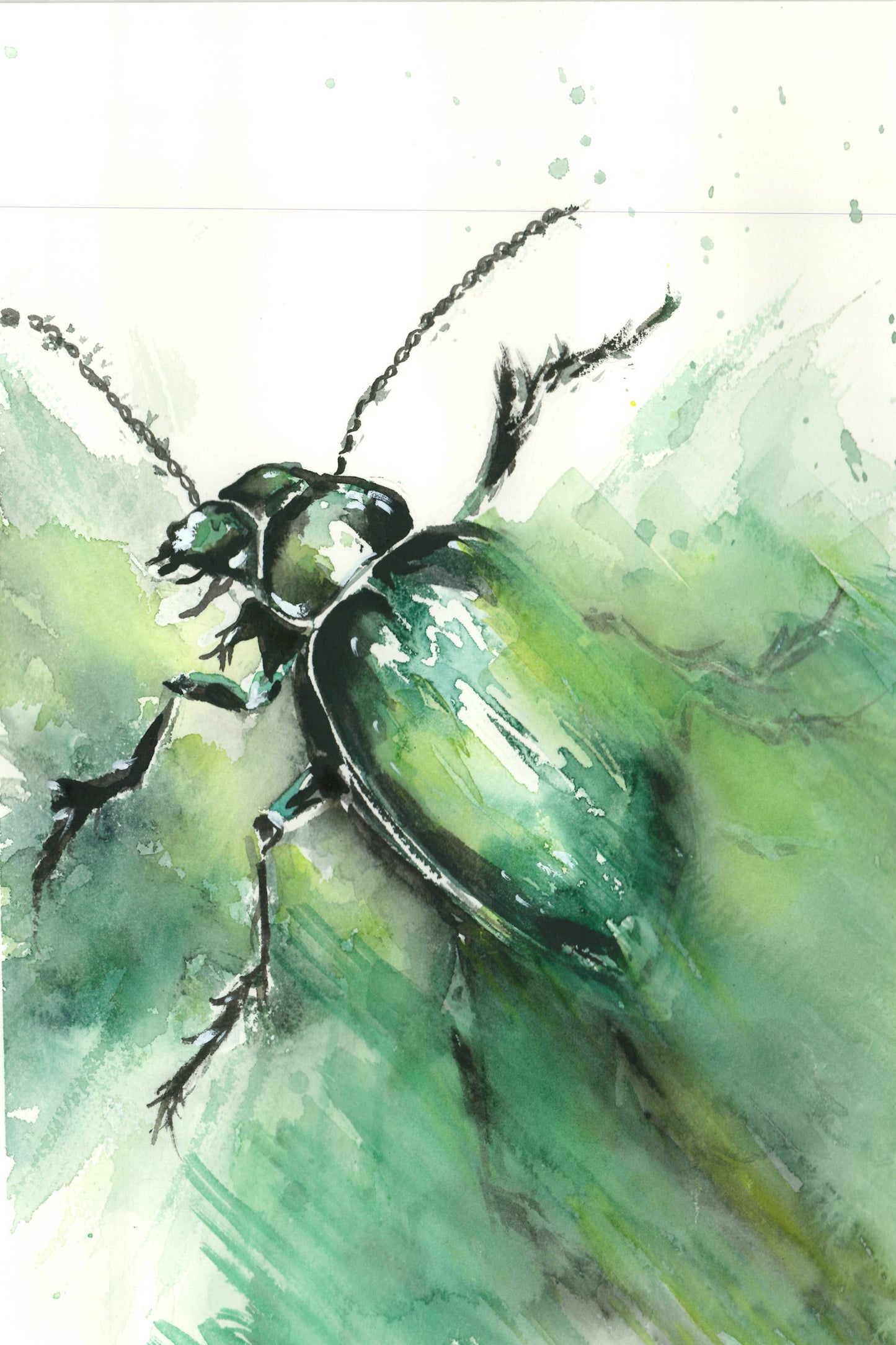 Escarabajo verde. Original.