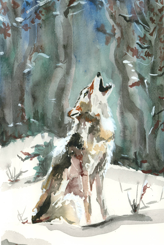 Lobo aullando. Original.