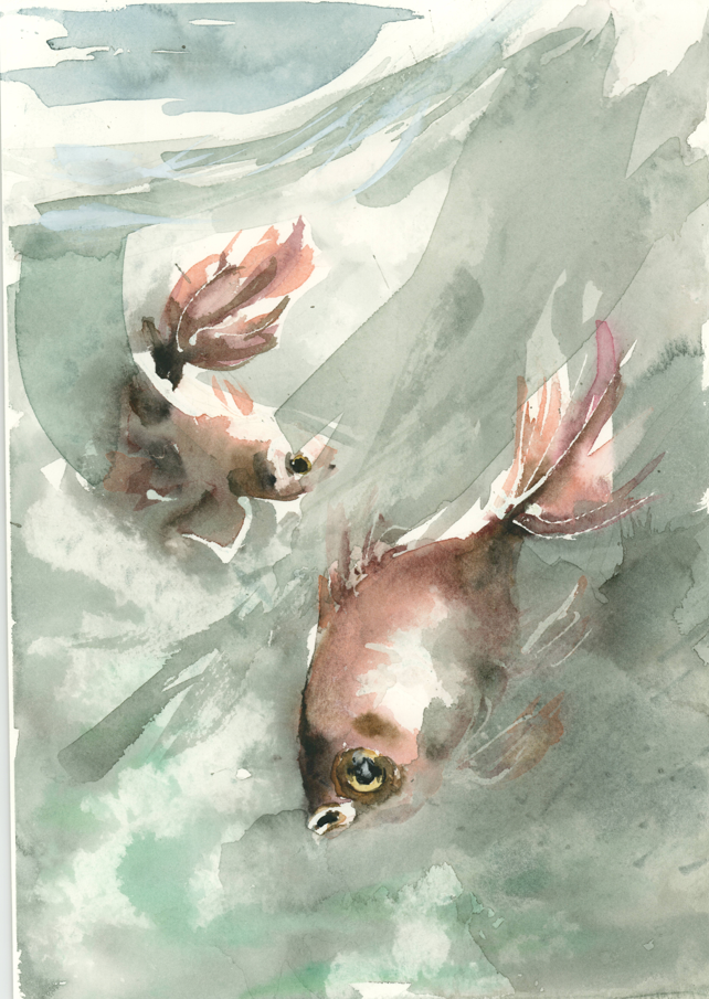 Peces. Original.