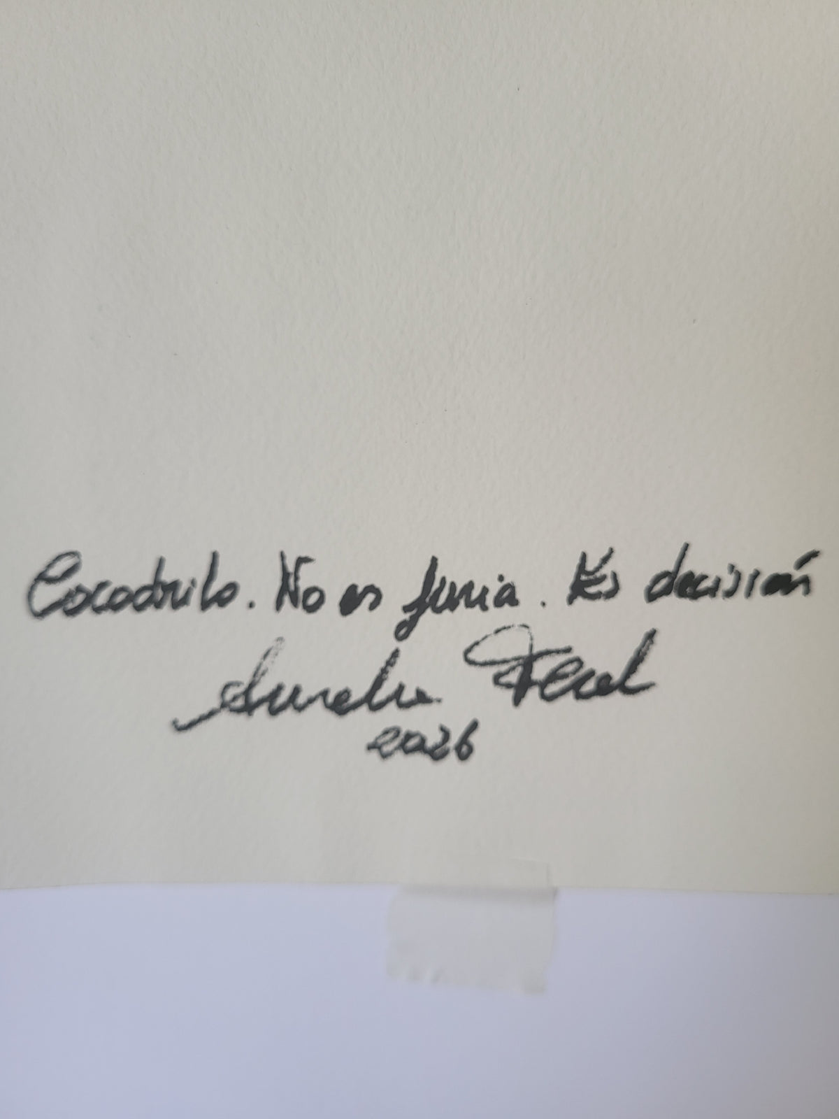 Cocodrilo. No es furia. Es decisión. Original