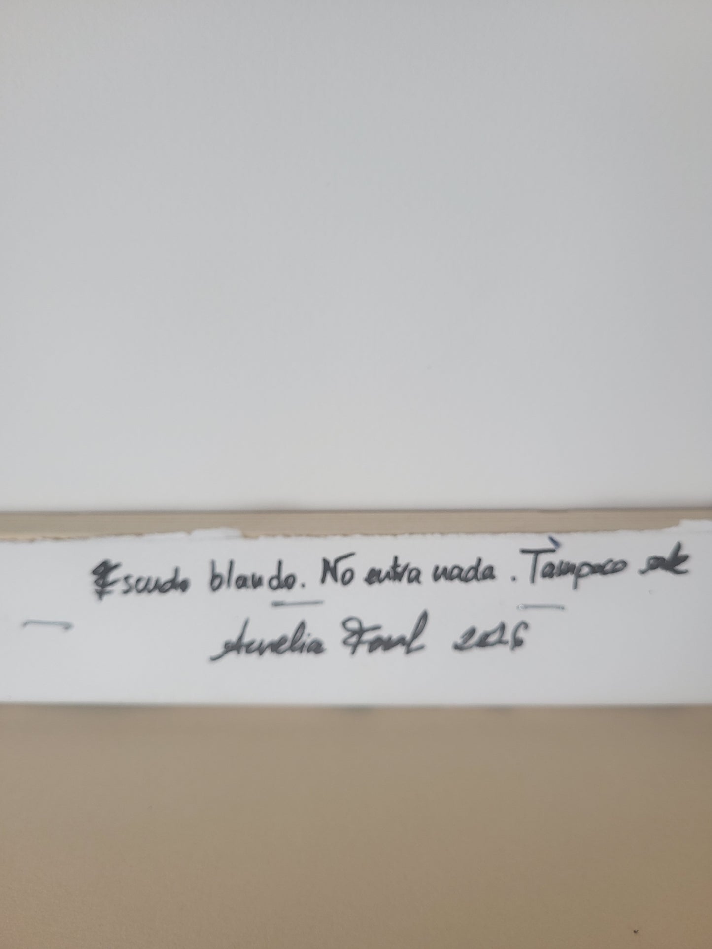 Escudo blando. No entra nada. Tampoco sale. Original.