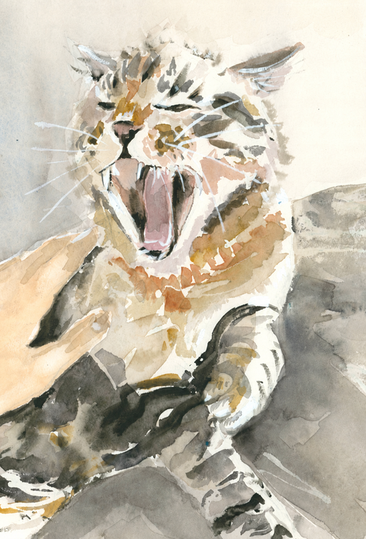 Gato enfadado. Original disponible · pieza única.
