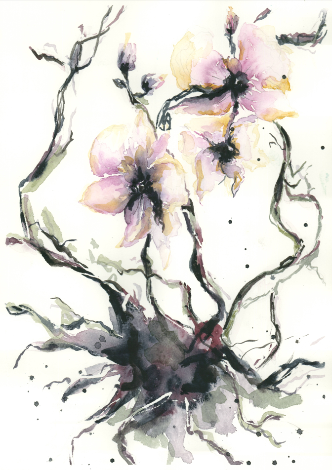 Raíz de orquídea. Original.