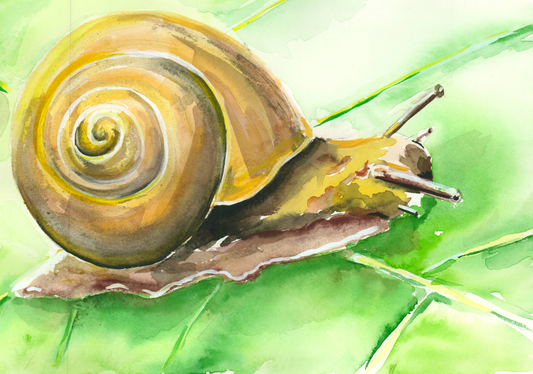 Caracol. Original disponible · pieza única.