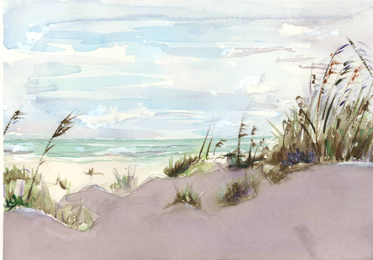 Dunas de playa. Original.