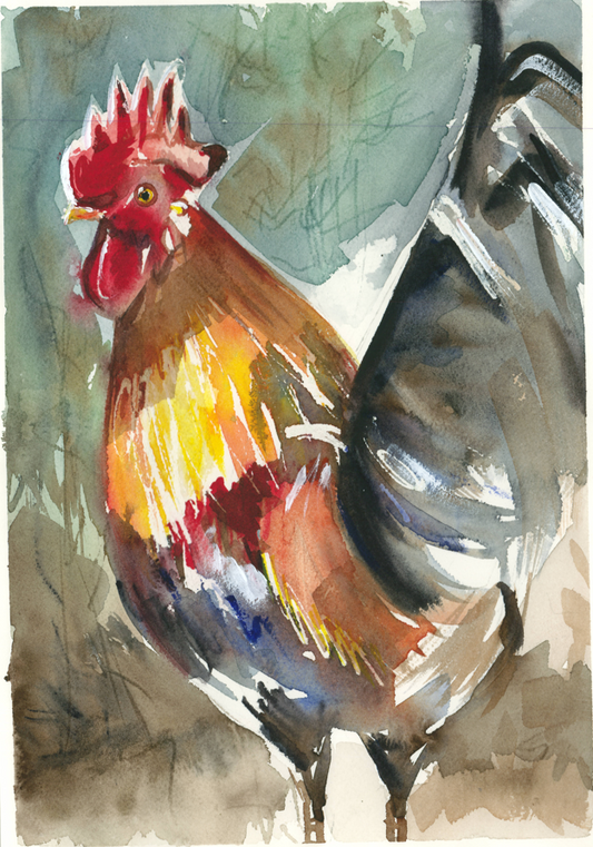 Gallo. Original.