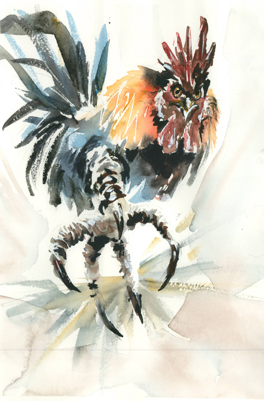 Gallo enérgico. Original.
