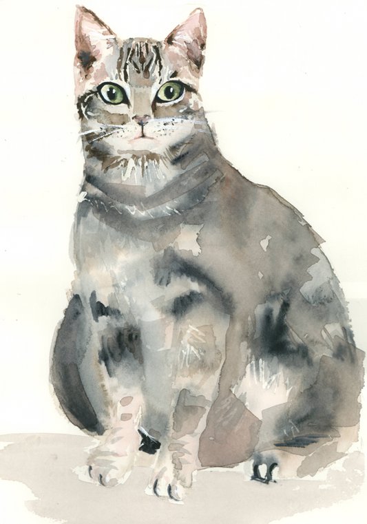 Gato. Original disponible · pieza única.