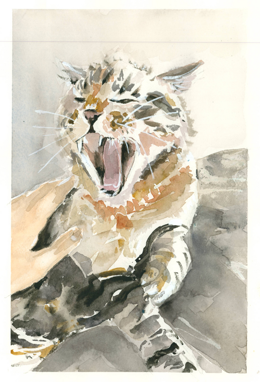 Gato enfadado. Original.