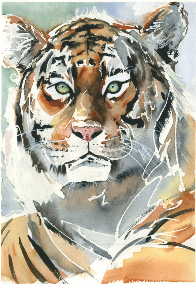 Tigre. Original.